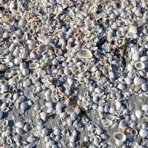 Meet your Posher, Jena